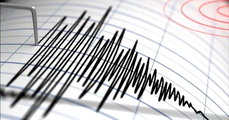 Gempa 6,9 SR Mengguncang Banggai Sulawesi Tengah, Ada Potensi Tsunami