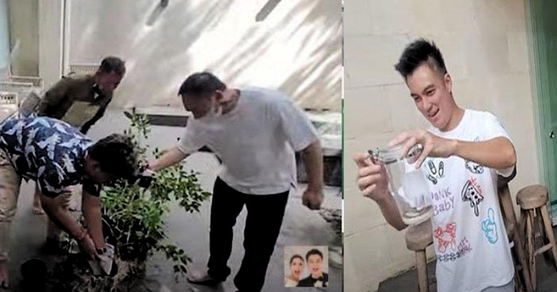 Mengerikan, Puluhan Ular Ditemukan di Rumah Baim Wong