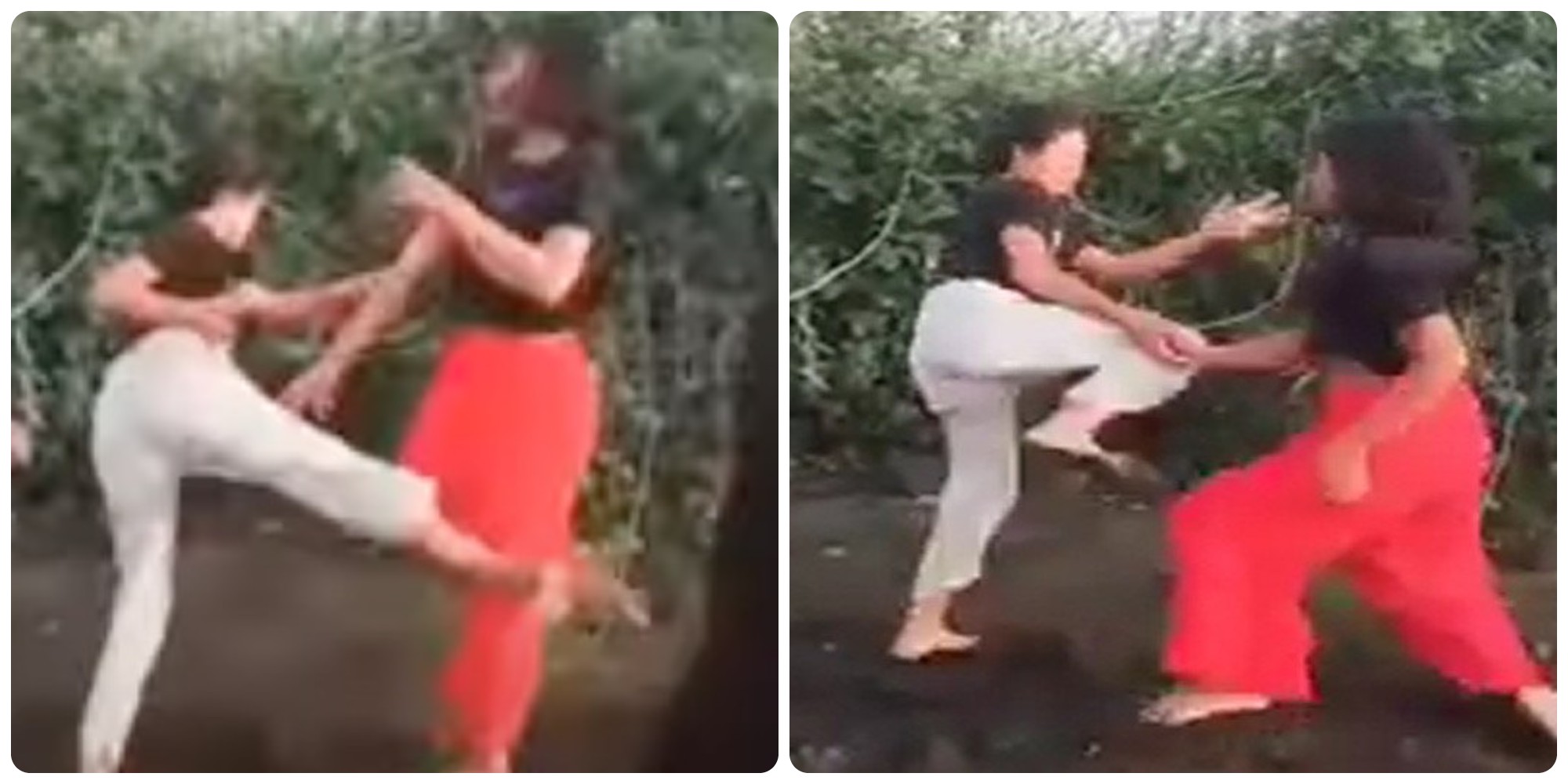 Video Berkelahi Rebutan Pacar Viral, Dua Remaja Putri Diperiksa Polisi