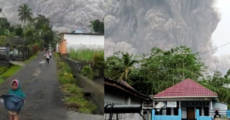 Breaking News! Gunung Semeru Erupsi, Warga Teriak Minta Pertolongan